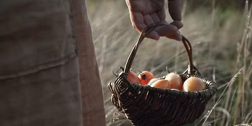 Wildplukmandje vlechten in de Chalaise