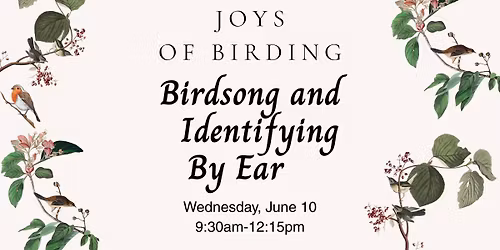 Joys of Birding: Birdsong & Identifying By Ear