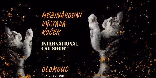 Mezin\u00e1rodn\u00ed v\u00fdstava ko\u010dek Olomouc \/ Internation Cat Show Olomouc