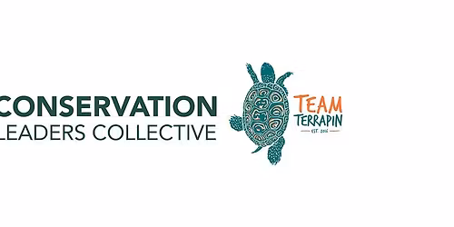 Drink Beer, Save Turtles | CLC Meet Up