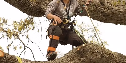 Iowa Tree Climbing Competition (IATCC)