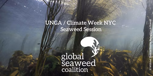 Seaweed Session during the UN General Assembly