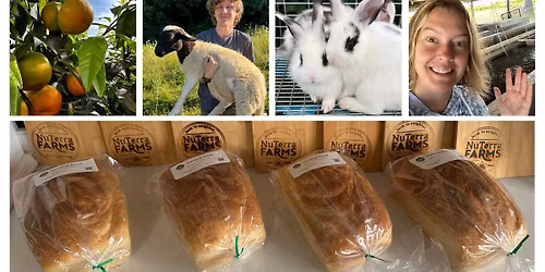 FISH DAYS Puxico MO - Spring 2026