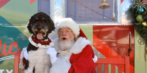 Santa Paws: Pet Photos with Santa