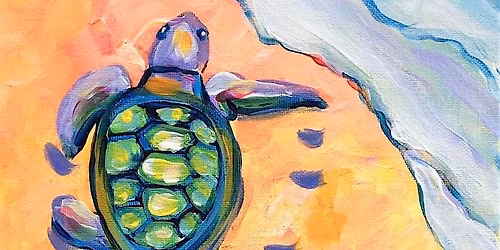 Baby Sea Turtle Return