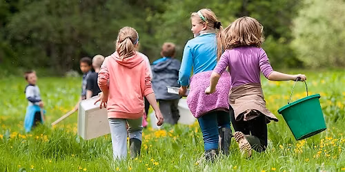 Incredible Insects - Family Event at Langford Lakes