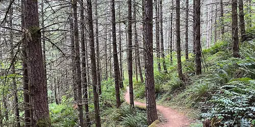 2026 Miller Woods 10K Run & 5K Walk\/Run