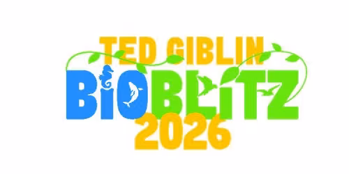 Ted Giblin BioBlitz 2026