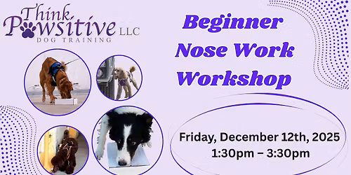 Beginner Nose Work Workshop