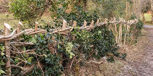 Introduction to HedgeLaying with Steve Bass
