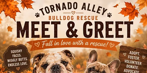 \ud83c\udf42\ud83d\udc3e FALL IN LOVE WITH A BULLDOG! \ud83d\udc3e\ud83c\udf42