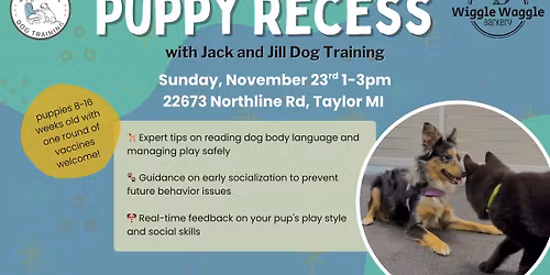 FREE Puppy Recess with Jack and Jill Dog Training