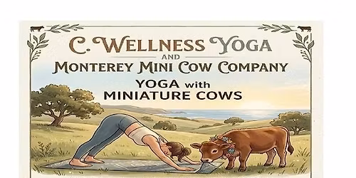 Mini Cow Yoga