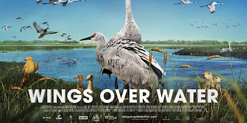Wings Over Water at The Capa Space