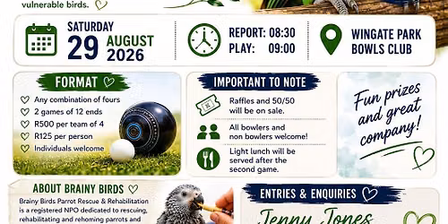 BOWLS FOR BRAINY BIRDS