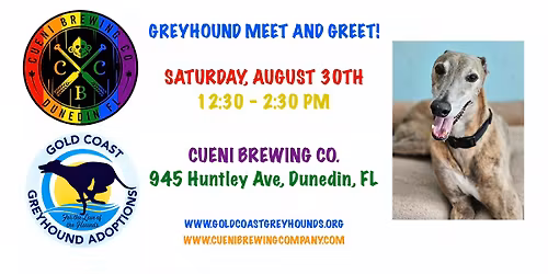 Greyhound Meet and Greet at Cueni Brewing Co.