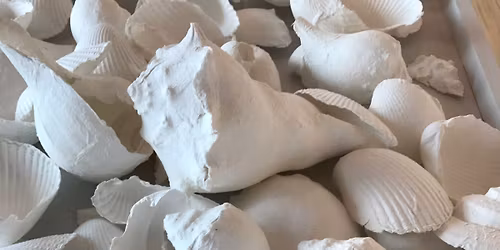 Introduction to 3D Paper Sculpting