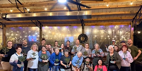 Dwarf Jade Bonsai Workshop, Pensacola