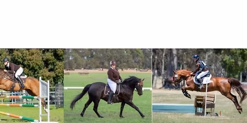 Capel Horse and Pony Club ODE