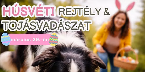 H\u00fasv\u00e9ti Rejt\u00e9ly \u00e9s Toj\u00e1svad\u00e1szat - DETEKT\u00cdV DOGS