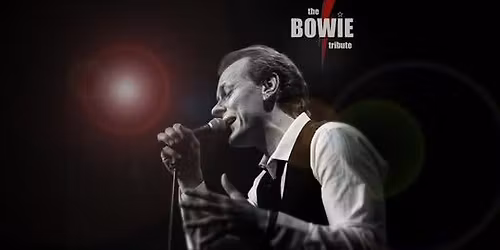 The BOWIE Tribute - Hiller\u00f8d slotsbio