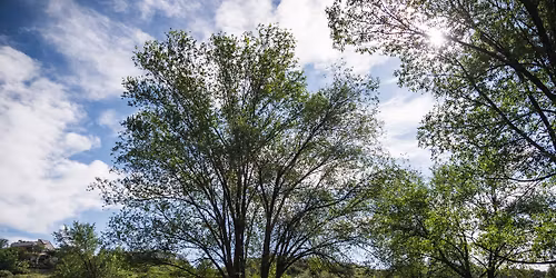 Mesa Valley Volunteer Day