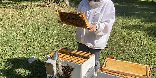 Hands-on beekeeping hive experience on our small homestead(May 23, 10:00am)