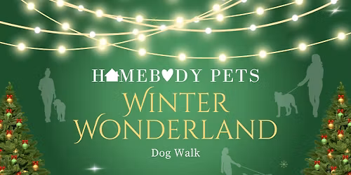 Homebody Pets' Winter Wonderland Dog Walk