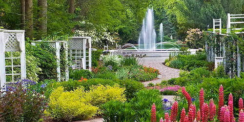 May 10: #FleaAtFellows (Flower Gardens)