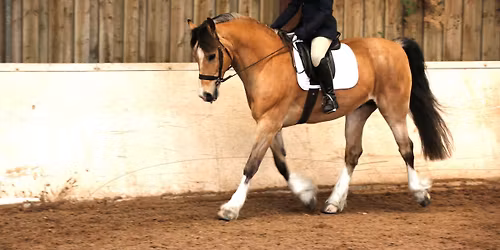 RAECTI Winter Dressage Accumulator Series