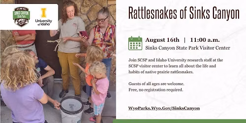 Rattlesnakes of Sinks Canyon