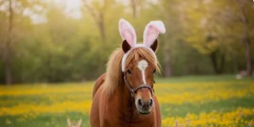 EASTER PONIES GALORE $40