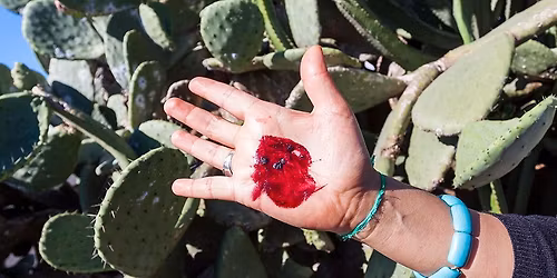 Adult Workshop -Cochineal Pigment Painting
