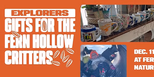 Explorers Pop-Up \u2014 Gifts for the Fern Hollow Critters