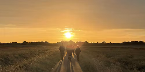 Wednesday Wander, from hides to tides