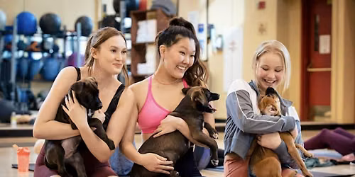 Rescue Puppy Yoga @ Genesis Health Club Tabor Center