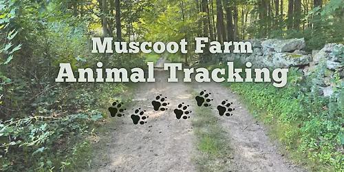 Animal Tracking