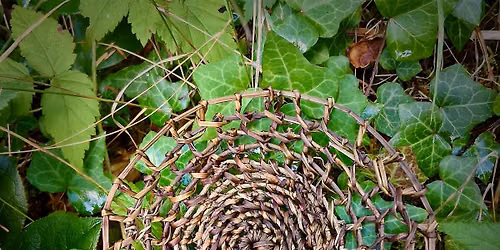 Twined Vines: Ivy & Bindweed Baskets