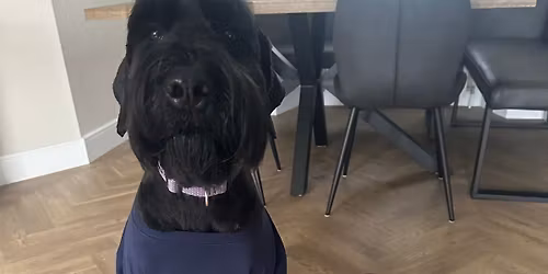 Miss Molly & Friends play day for St Vincent\u2019s