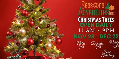 Seasonal Adventures Christmas Trees