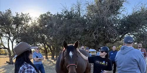 Work from Nature: Private Luxury Ranch Workday Near Austin