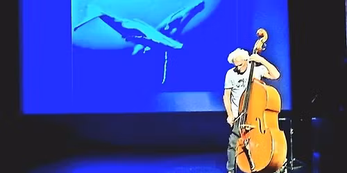 "Voyage au pays de la contrebasse"