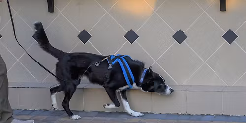 NACSW NW1 and NW2 Trials at Camp Miakonda