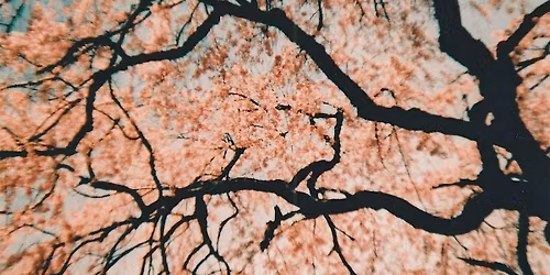 Parkside Portal: Writer's Retreat and Catered Picnic