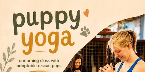 Puppy Yoga at Dog Bar Sarasota