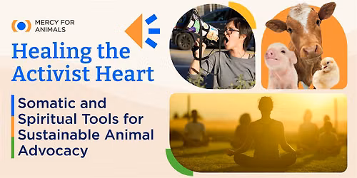 Healing the Activist Heart: Beyond Compassion Fatigue