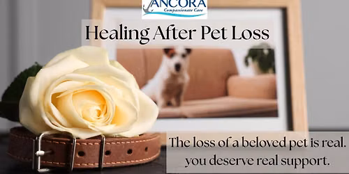 Healing After Pet Loss