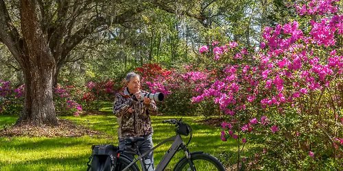 Introduction to Photography