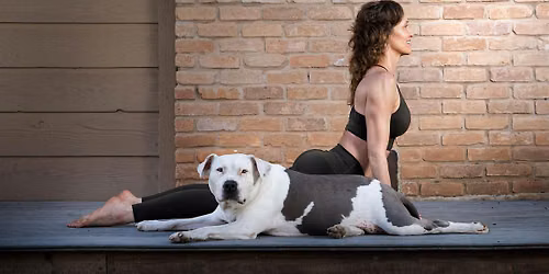 Intermediate Yoga: Koundinyasana 1 & 2