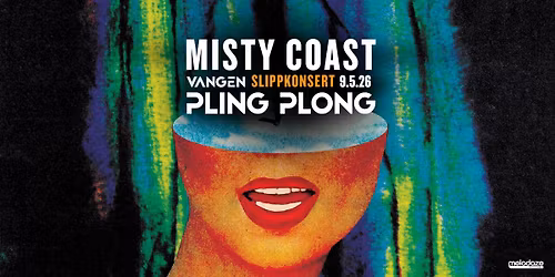 Misty Coast + support: Palmface \/\/ Vangen Pling Plong